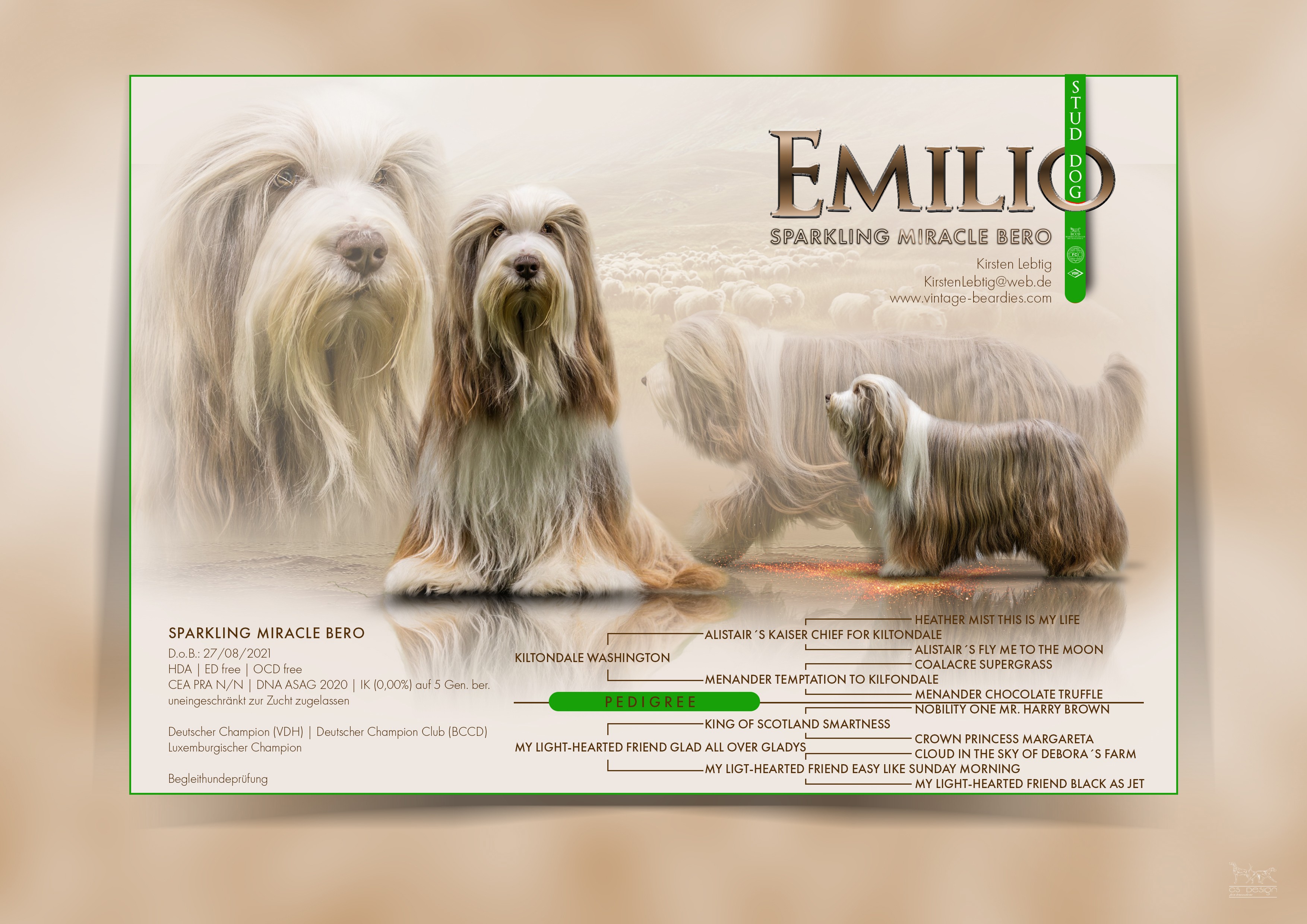 vintage beardies deckruede von kirsten lebtig